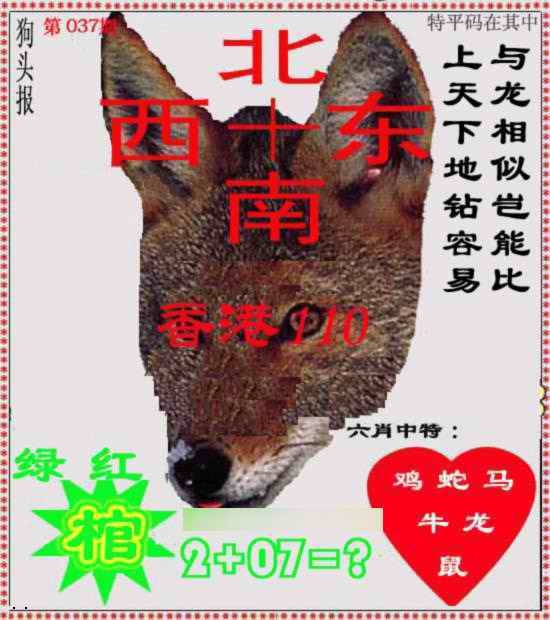 037期狗头报[图]