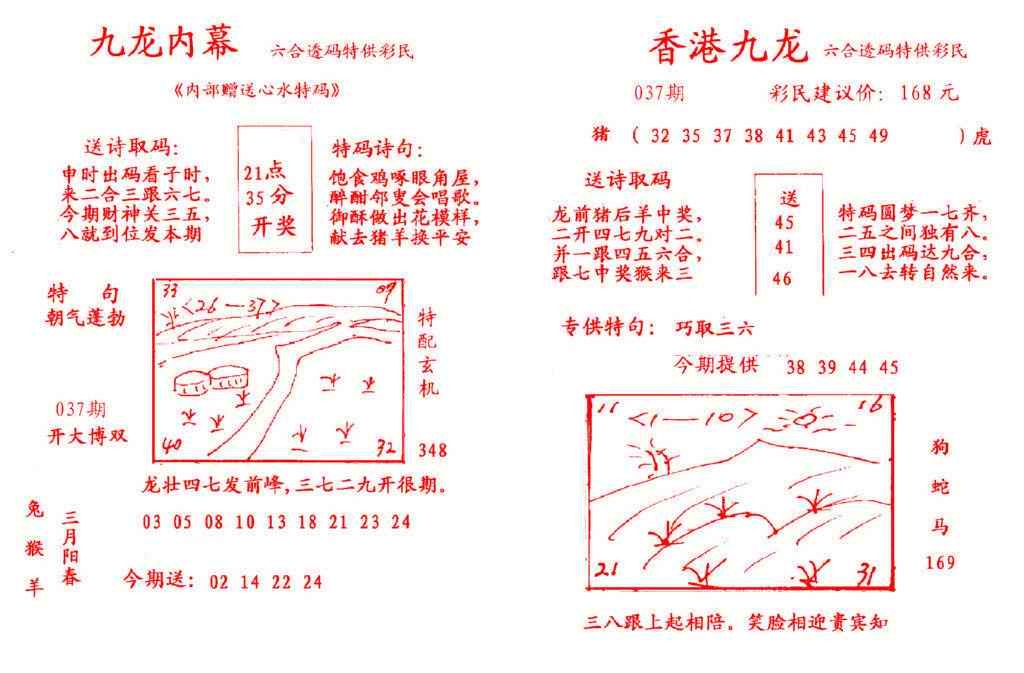 037期九龙内幕[图]